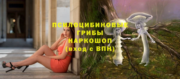 винт Арсеньев